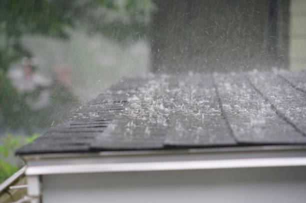Best Rubber Roofing (EPDM, TPO)  in White Mountain Lake, AZ