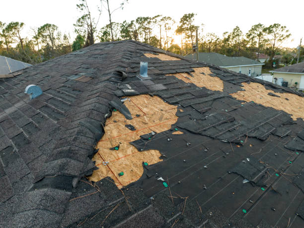 Best Roof Insulation Installation  in White Mountain Lake, AZ
